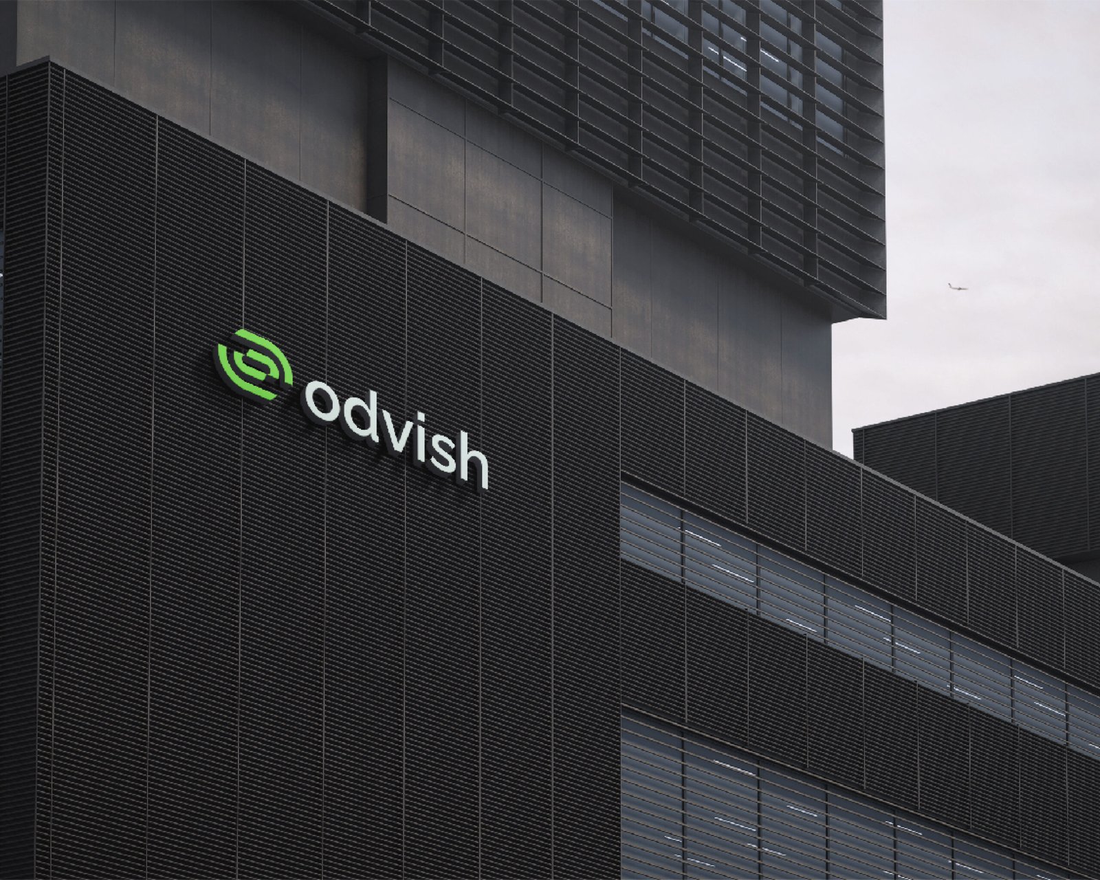 Odvish - Fintech Company Brand Identity